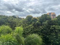Blk 115 Bishan View (Bishan), HDB 4 Rooms #513582331